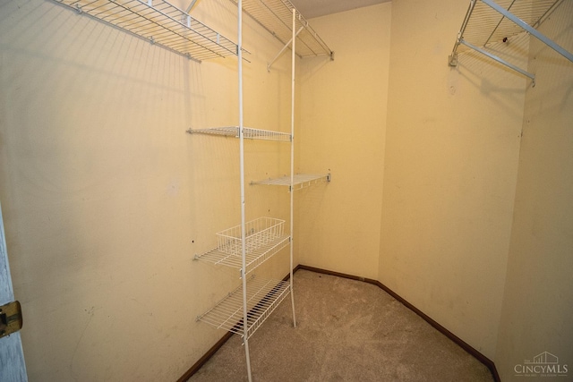 881 Trails End Dr, Liberty Twp, OH 45050 - spacious closet with carpet