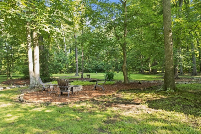 3067 Sugartree Rd, Tate Twp, OH 45106 - view of grassy yard