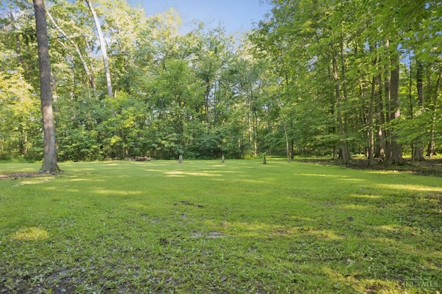 3067 Sugartree Rd, Tate Twp, OH 45106 - view of green lawn