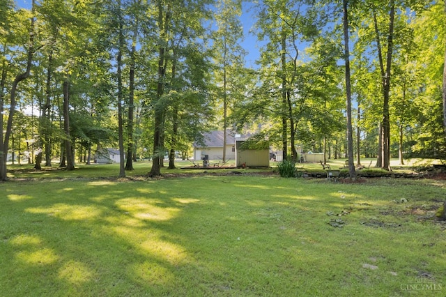 3067 Sugartree Rd, Tate Twp, OH 45106 - view of grassy yard