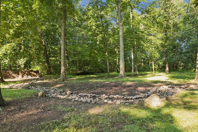 3067 Sugartree Rd, Tate Twp, OH 45106 - view of undeveloped land