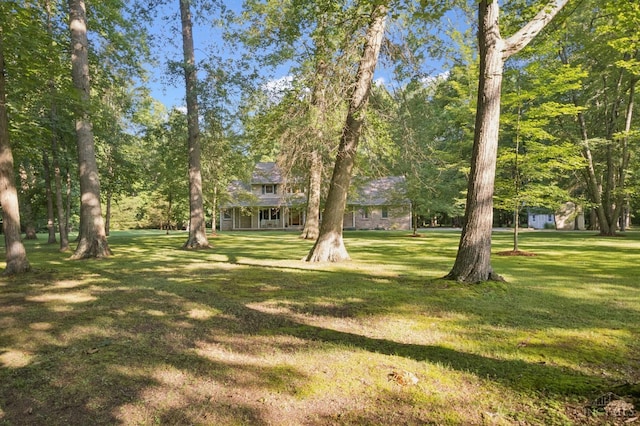 3067 Sugartree Rd, Tate Twp, OH 45106 - view of grassy yard