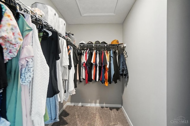 2821 Pine Leaf Ct, Hamilton, OH 45013 - walk in closet featuring attic access and carpet floors
