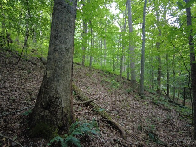 94 Naces Run Rd, Nile Twp, OH 45684