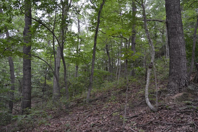 94 Naces Run Rd, Nile Twp, OH 45684