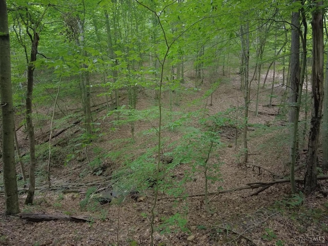 94 Naces Run Rd, Nile Twp, OH 45684