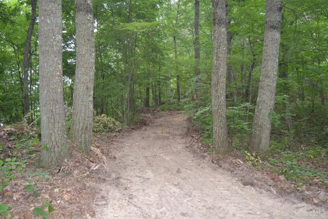 94 Naces Run Rd, Nile Twp, OH 45684