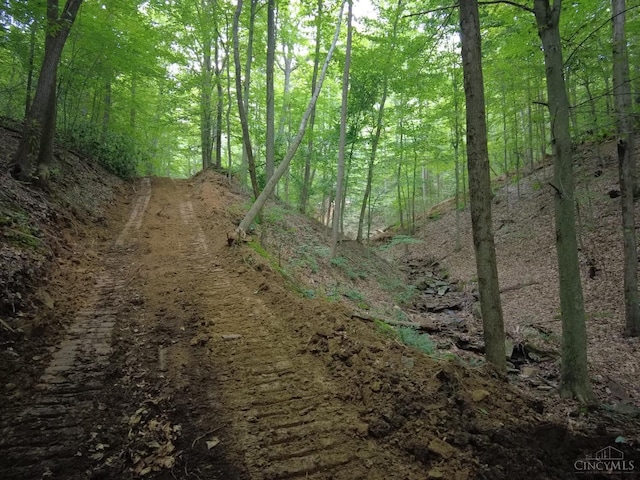 94 Naces Run Rd, Nile Twp, OH 45684