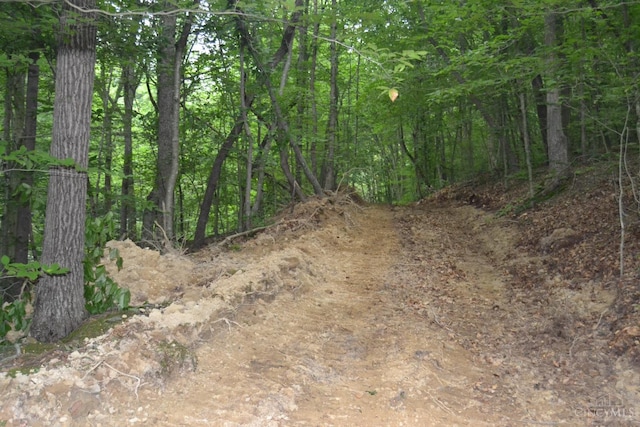 94 Naces Run Rd, Nile Twp, OH 45684