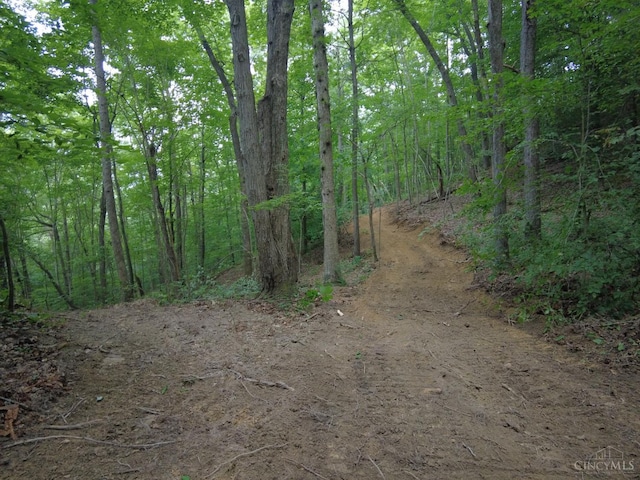94 Naces Run Rd, Nile Twp, OH 45684