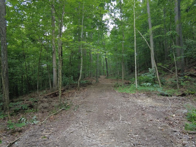 94 Naces Run Rd, Nile Twp, OH 45684