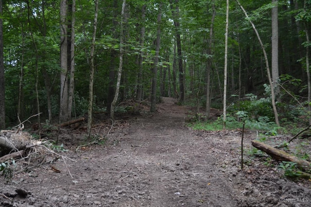 94 Naces Run Rd, Nile Twp, OH 45684