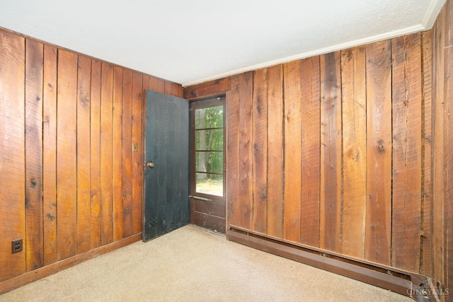 2765 Tater Ridge Rd, West Union, OH 45693 - carpeted empty room with wooden walls and baseboard heating