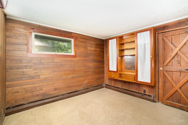 2765 Tater Ridge Rd, West Union, OH 45693 - carpeted empty room featuring wooden walls
