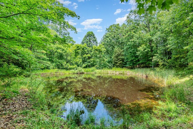 2765 Tater Ridge Rd, West Union, OH 45693 - view of tree filled area featuring a water view