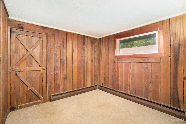 2765 Tater Ridge Rd, West Union, OH 45693 - spare room featuring carpet, wooden walls, and a baseboard heating unit