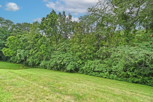 3016 Stratford Ct Unit 115, Cincinnati, OH 45140 - view of grassy yard with a wooded view