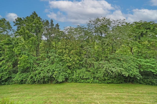 3016 Stratford Ct Unit 115, Cincinnati, OH 45140 - view of grassy yard with a view of trees