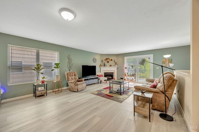 3435 Kleeman Lake Ct, Cincinnati, OH 45211 - living room featuring wood finished floors and a fireplace