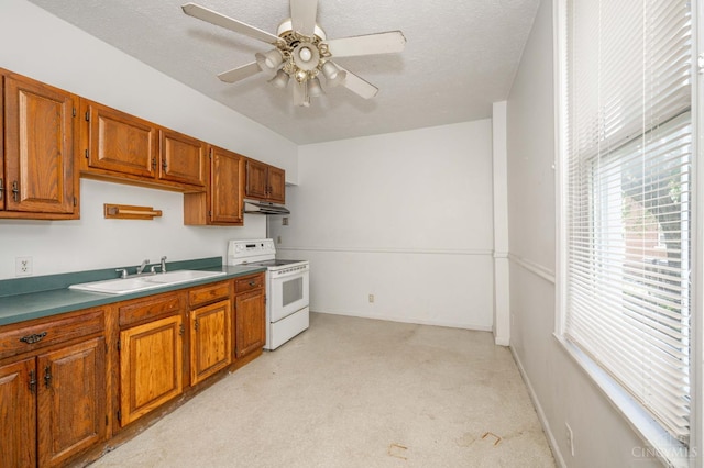 5653 Prosser Ave, Elmwood Place, OH 45216 - kitchen featuring white electric range oven, under cabinet range hood, a ceiling fan, brown cabinets, and light colored carpet