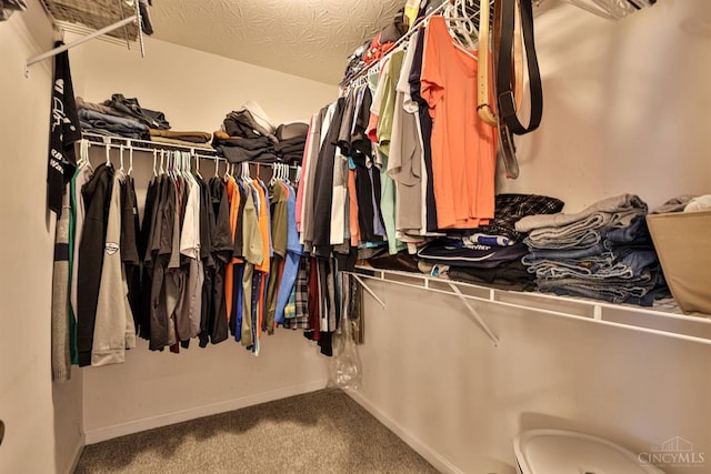 4282 Hickory Park Ln, Batavia Twp, OH 45103 - spacious closet featuring carpet flooring