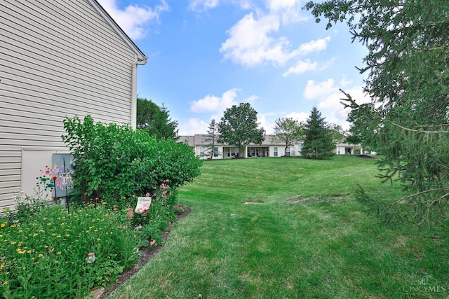 4282 Hickory Park Ln, Batavia Twp, OH 45103 - view of grassy yard