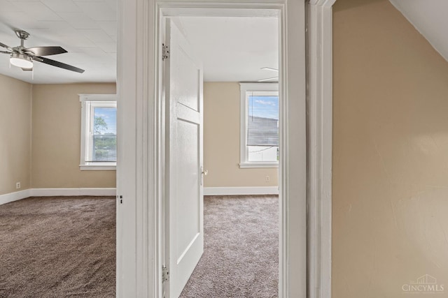 5824 Saranac Ave, Cincinnati, OH 45224 - hallway featuring carpet flooring