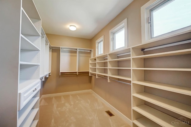 4994 Maxwell Dr, Mason, OH 45040 - walk in closet with carpet flooring