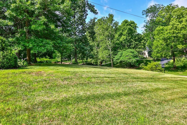 5868 Greenlawn Rd, Fairfield Twp, OH 45011 - view of green lawn