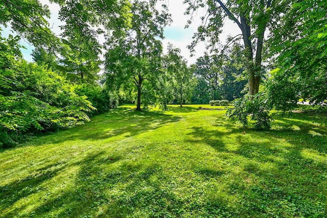 5868 Greenlawn Rd, Fairfield Twp, OH 45011 - view of grassy yard