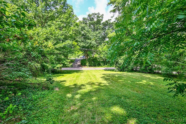 5868 Greenlawn Rd, Fairfield Twp, OH 45011 - view of grassy yard