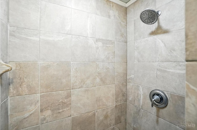 1092 Fox Run Rd, Miami Twp, OH 45150 - bathroom view of crown molding and tiled shower