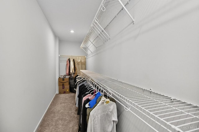 5322 Observer Ct, Turtle Creek Twp, OH 45036 - walk in closet featuring carpet flooring