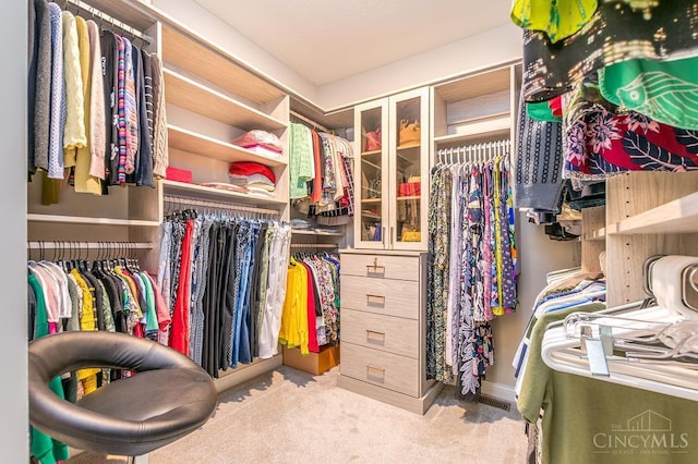 9302 W Meadow Dr, West Chester, OH 45069 - spacious closet featuring carpet floors