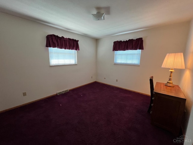 44 Strathmore Blvd, Athens, OH 45701 - unfurnished room with plenty of natural light and carpet flooring