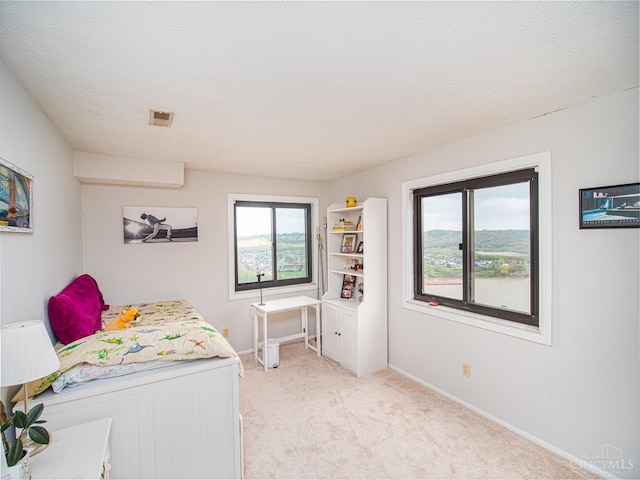 355 Grand Ave Unit 302, Cincinnati, OH 45205 - bedroom featuring light colored carpet and a textured ceiling