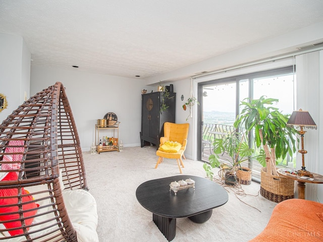 355 Grand Ave Unit 302, Cincinnati, OH 45205 - living room featuring carpet flooring and a textured ceiling