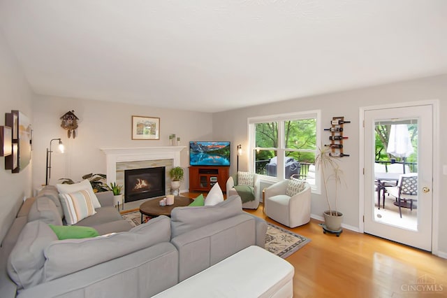 6711 Bayberry Ct, Hamilton Twp, OH 45039 - living room featuring healthy amount of natural light, light wood-style floors, and a glass covered fireplace