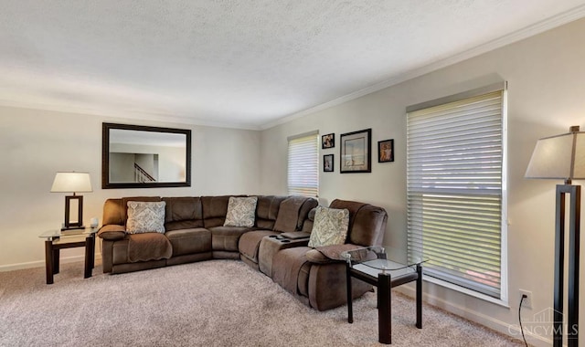 5817 Countryview Ter, Delhi Twp, OH 45233 - carpeted living room with ornamental molding and a textured ceiling