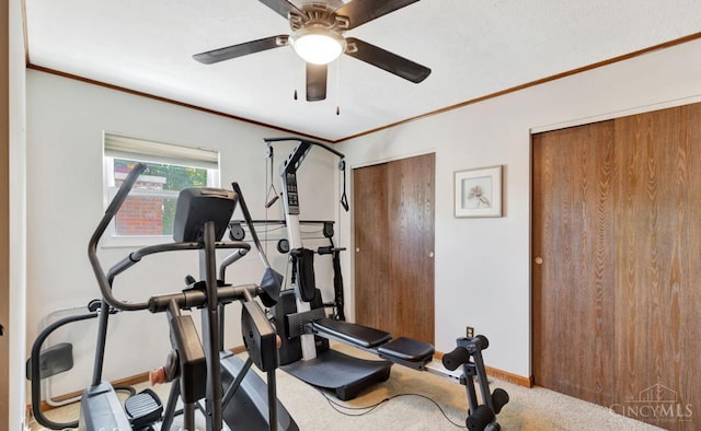 5817 Countryview Ter, Delhi Twp, OH 45233 - exercise room featuring carpet floors, crown molding, and ceiling fan