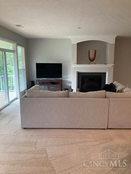 9530 Greenery Ct, Deerfield Twp, OH 45140 - carpeted living room with a glass covered fireplace