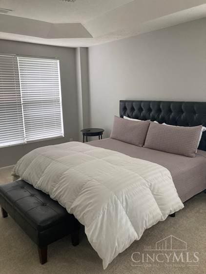9530 Greenery Ct, Deerfield Twp, OH 45140 - bedroom with carpet flooring