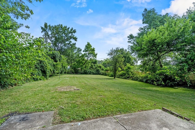 2016 Mistyhill Dr, Springfield Twp, OH 45240 - view of grassy yard