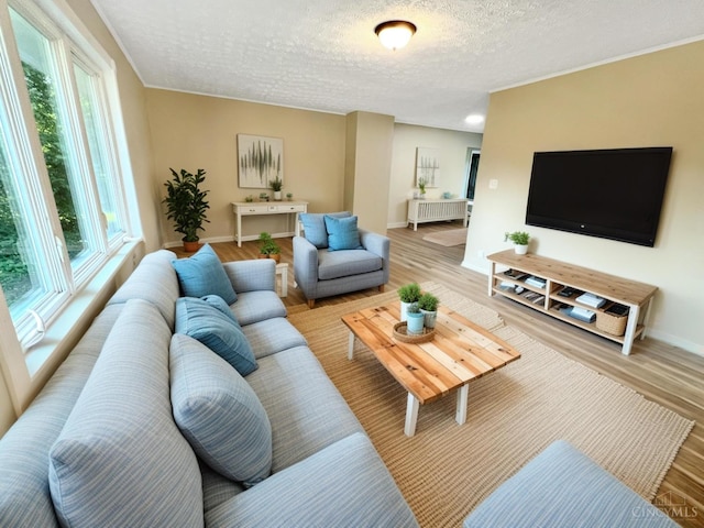 176 Lakeview Dr, Monroe, OH 45044 - living room featuring radiator, a textured ceiling, and light wood-style flooring