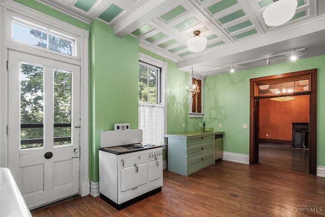 2153 Sinton Ave, Cincinnati, OH 45206 - kitchen with a chandelier, dark wood-style floors, stainless steel dishwasher, crown molding, and rail lighting