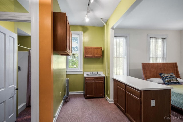 2153 Sinton Ave, Cincinnati, OH 45206 - bathroom featuring rail lighting and vanity