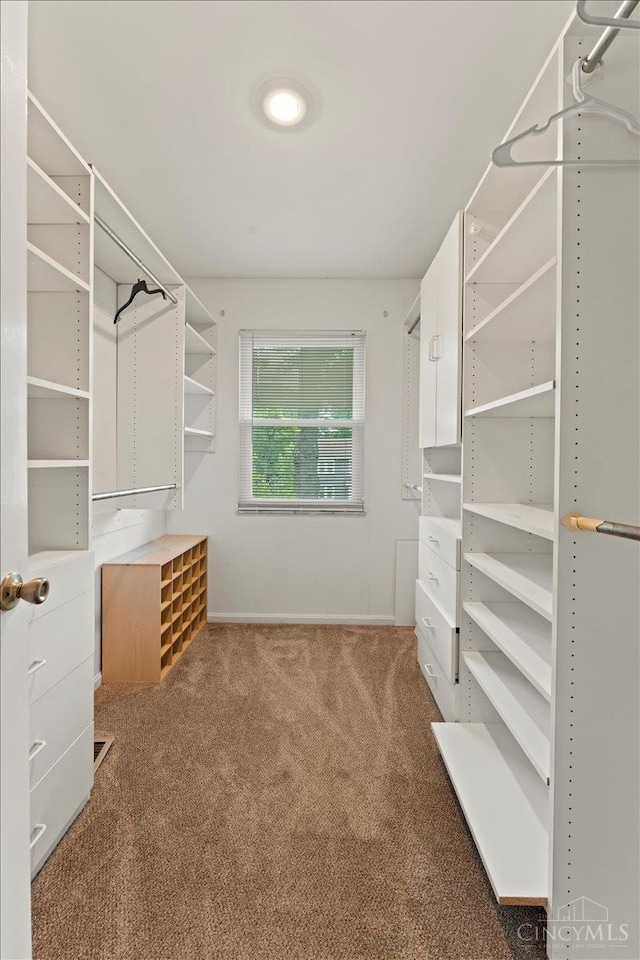 5577 Dove Ln, West Chester, OH 45069 - walk in closet featuring carpet floors