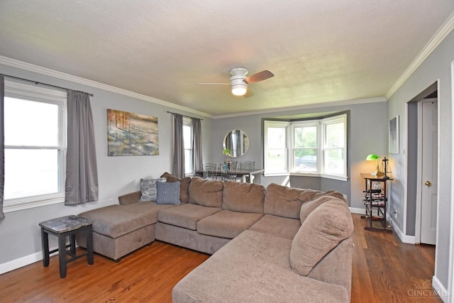 1008 Garden Ave, Middletown, OH 45044 - living room with wood finished floors, crown molding, plenty of natural light, and a ceiling fan