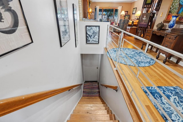 600 Kathryn Dr, Wilmington, OH 45177 - staircase with wood finished floors