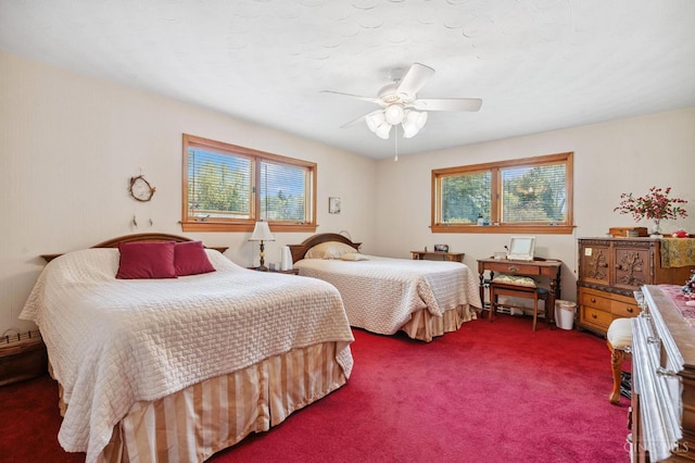 600 Kathryn Dr, Wilmington, OH 45177 - bedroom featuring multiple windows, carpet, and ceiling fan
